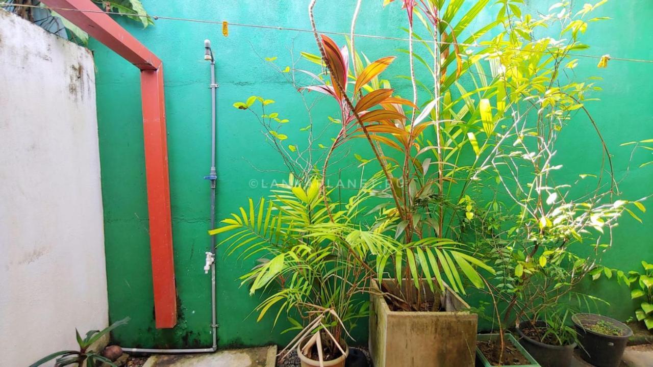 Twin Palms Mirissa Exterior foto